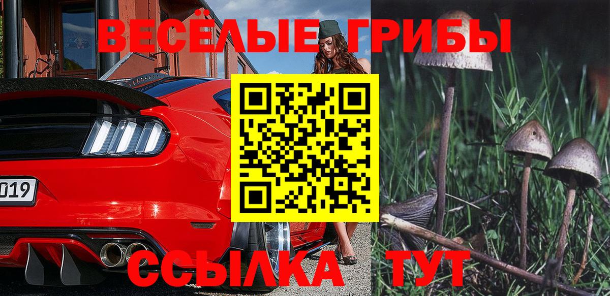 Галлюциногенные грибы Cubensis Керчь