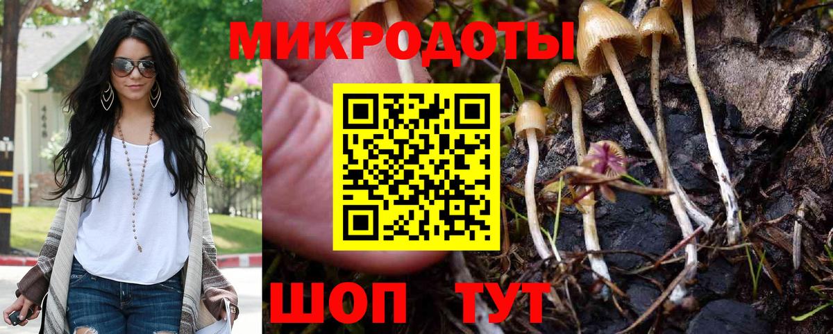 Псилоцибиновые грибы прущие грибы  Вход с VPN  Псилоцибиновые грибы Psilocybe  Керчь 